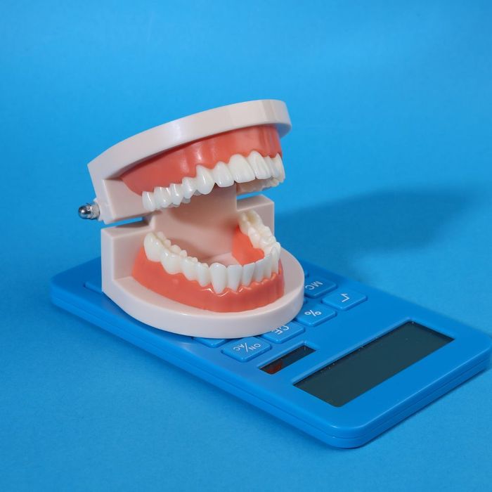 4 Key Differences Between Acrylic and Porcelain Dentures Dutton